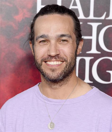 pete wentz net worth|Pete Wentz